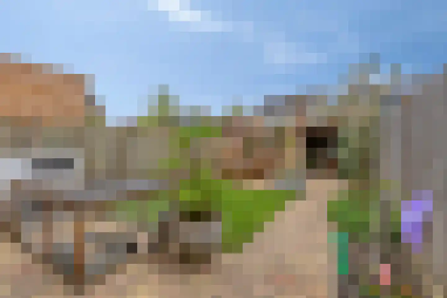 Lijsterbes 47 Best thumbnail 30