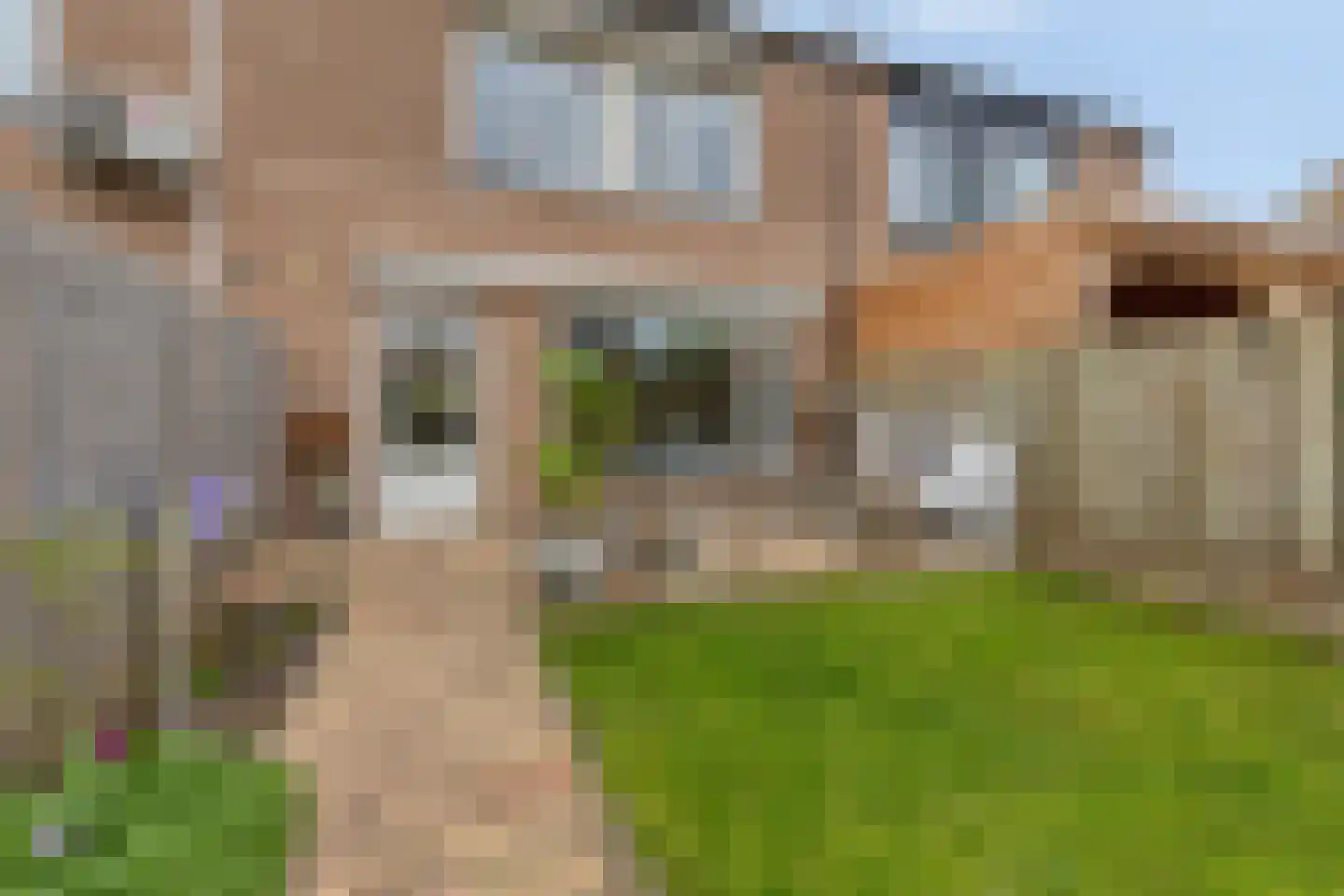 Lijsterbes 47 Best thumbnail 31
