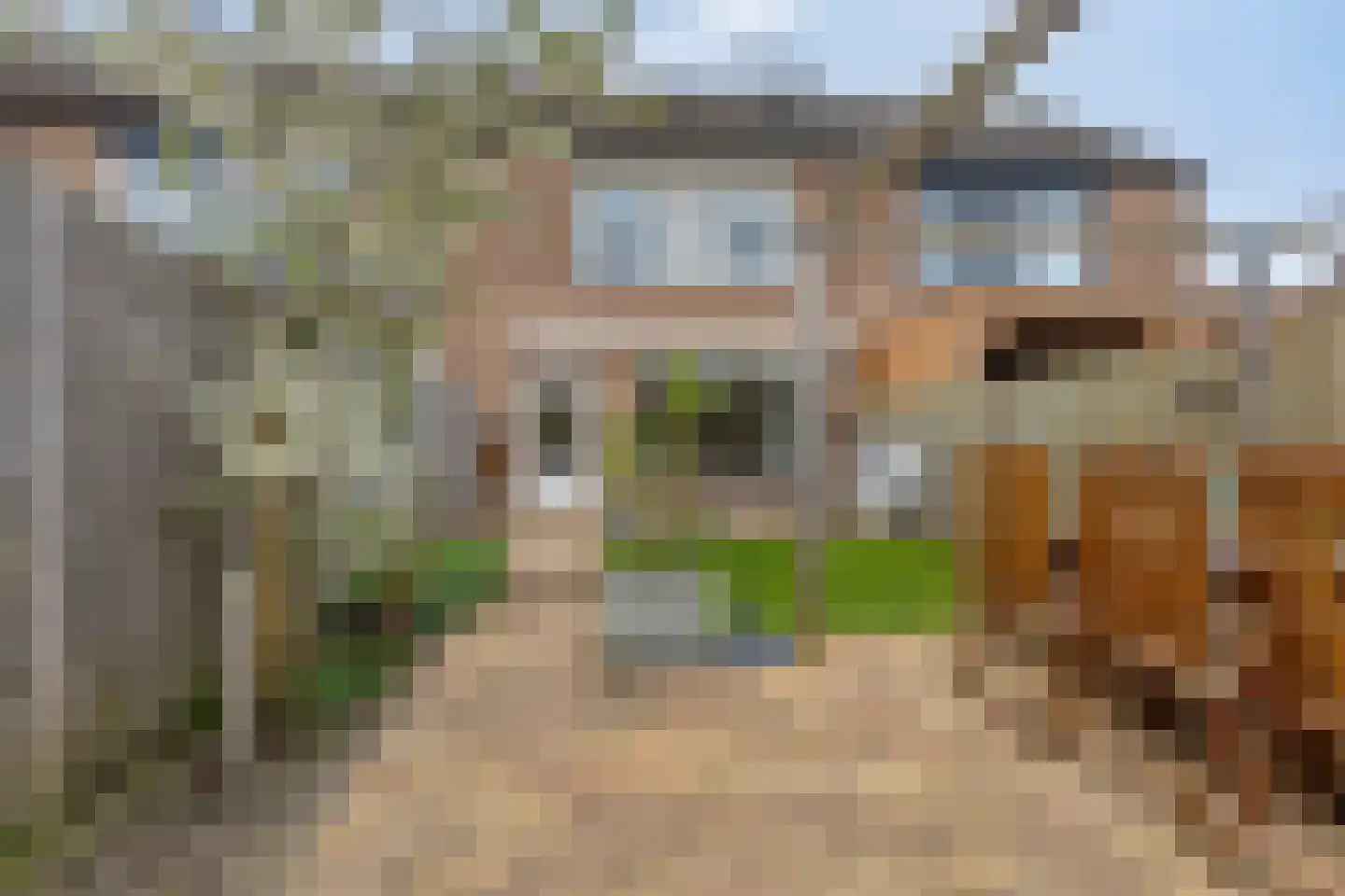Lijsterbes 47 Best thumbnail 33