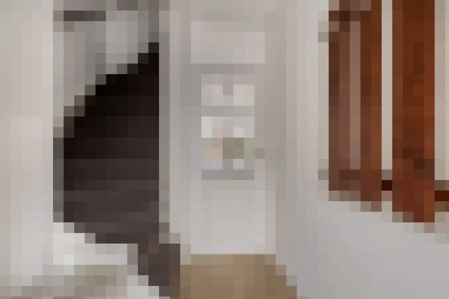 Lijsterbes 47 Best thumbnail 7