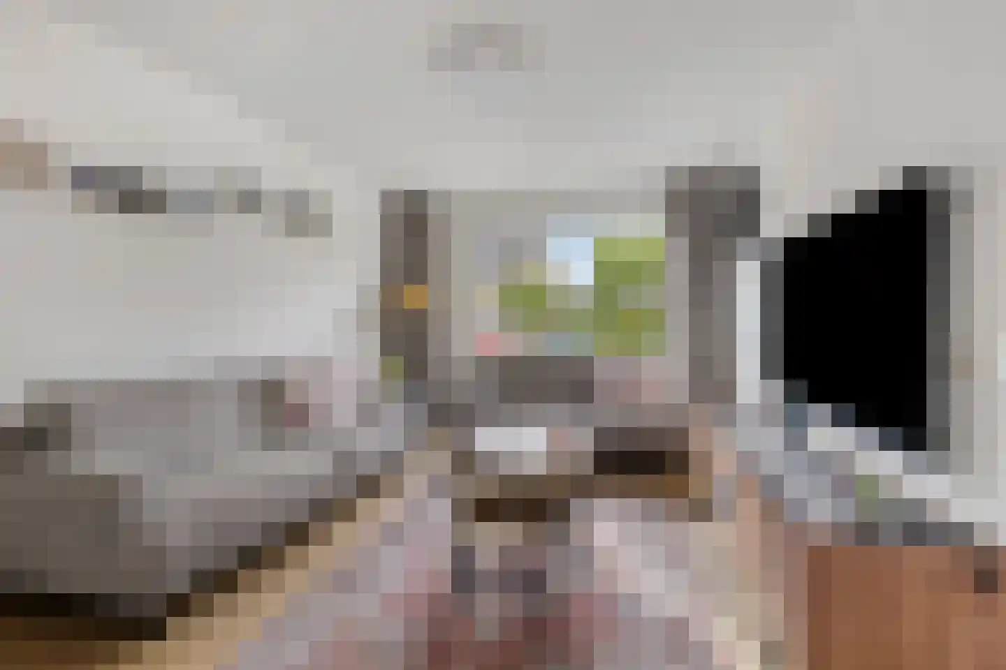 Lijsterbes 47 Best thumbnail 8