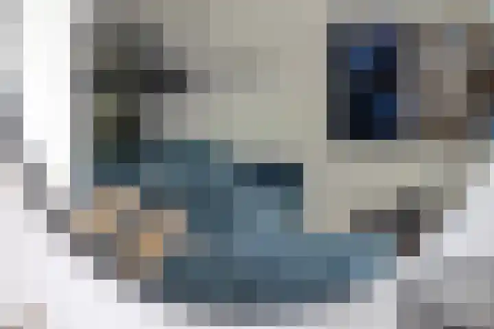 Lijsterbes 5 Best thumbnail 19