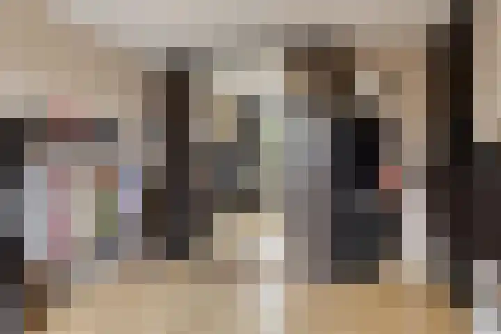 Lijsterbes 5 Best thumbnail 35