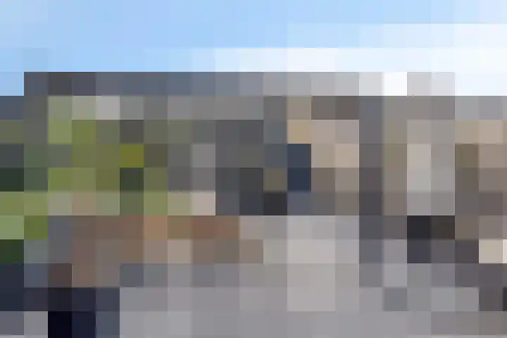Lijsterbes 5 Best thumbnail 4