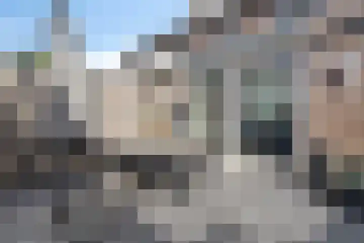 Lijsterbes 5 Best thumbnail 41