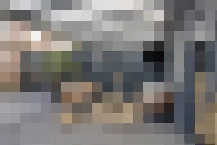 Lijsterbes 5 Best thumbnail 42