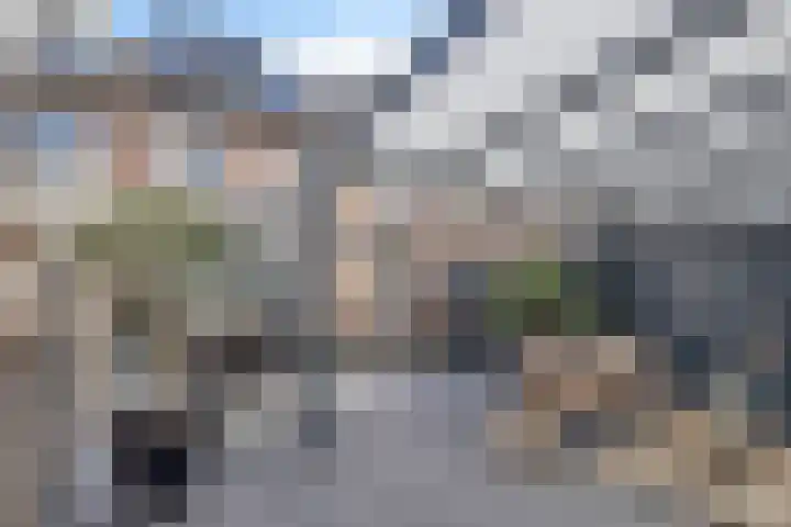 Lijsterbes 5 Best thumbnail 44