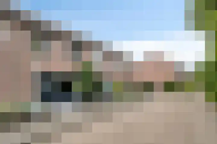 Lijsterbes 5 Best thumbnail 45