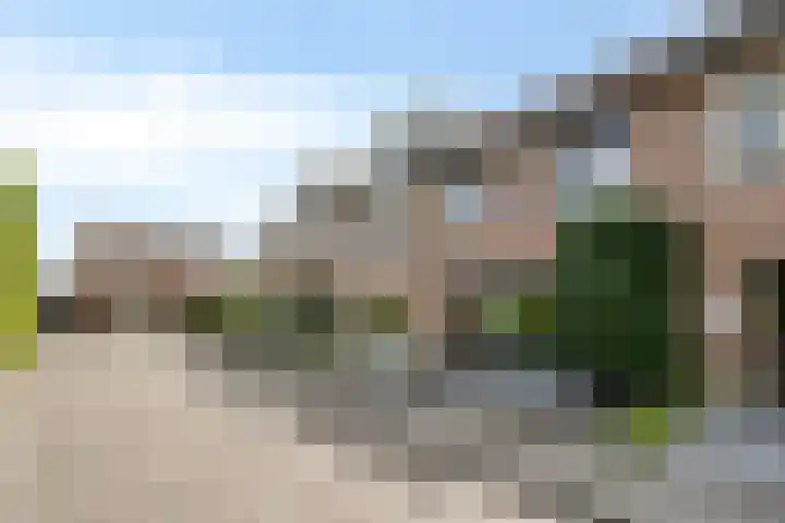 Lijsterbes 5 Best thumbnail 46