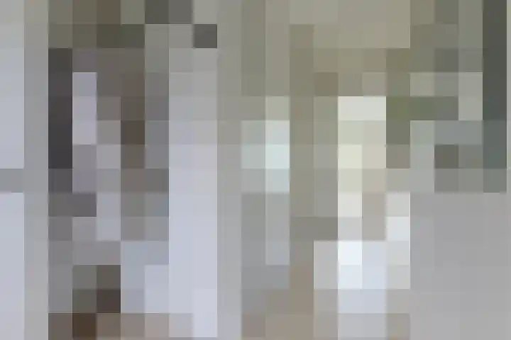 Lijsterbes 61 Heiloo thumbnail 11