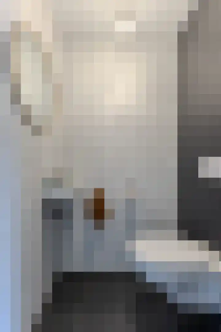 Lijsterbes 61 Heiloo thumbnail 12