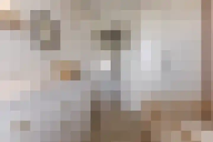 Lijsterbes 61 Heiloo thumbnail 16