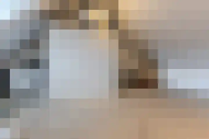 Lijsterbes 61 Heiloo thumbnail 24