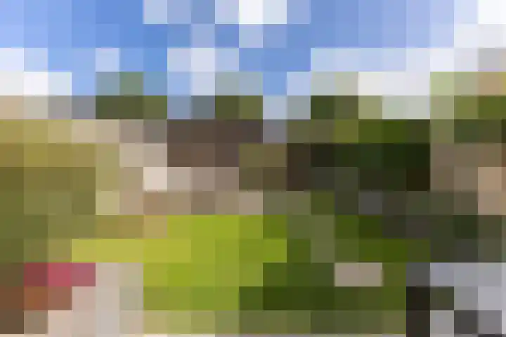 Lijsterbes 61 Heiloo thumbnail 25