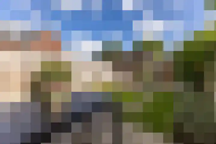 Lijsterbes 61 Heiloo thumbnail 26