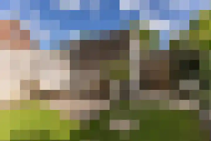 Lijsterbes 61 Heiloo thumbnail 27