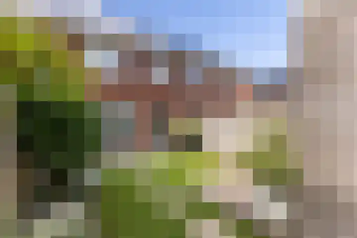 Lijsterbes 61 Heiloo thumbnail 28