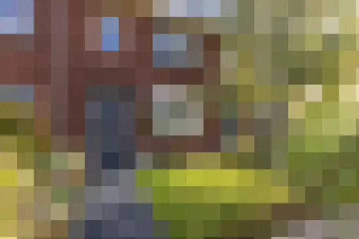 Lijsterbes 61 Heiloo thumbnail 29