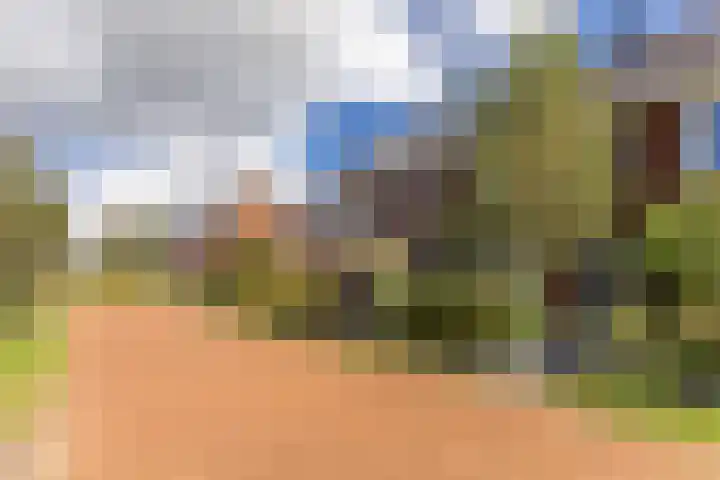 Lijsterbes 61 Heiloo thumbnail 30