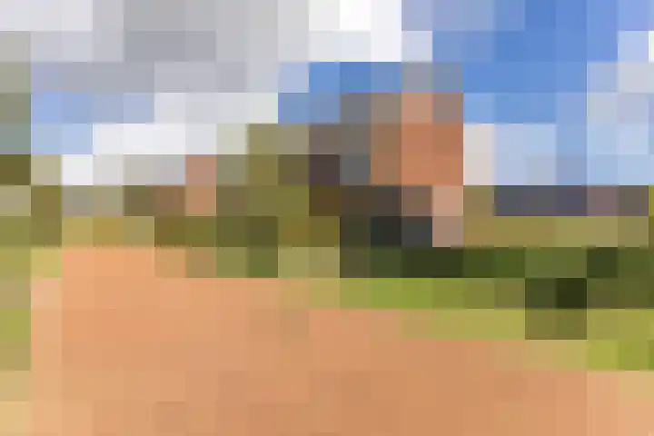Lijsterbes 61 Heiloo thumbnail 31