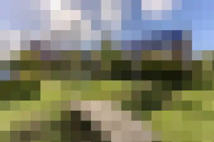Lijsterbes 61 Heiloo thumbnail 32