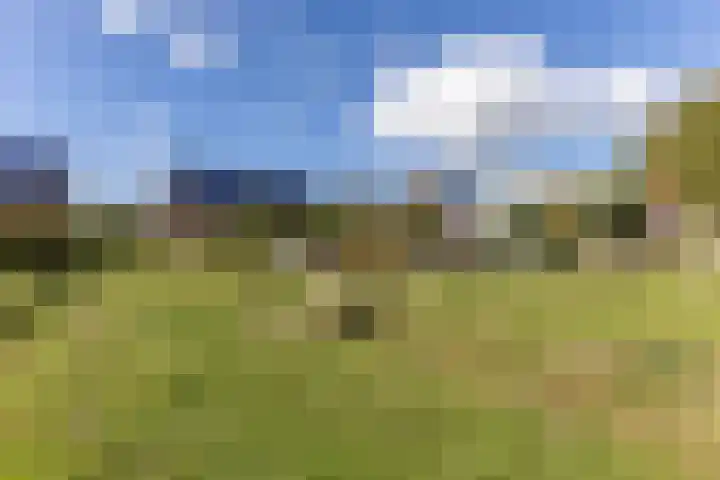 Lijsterbes 61 Heiloo thumbnail 33