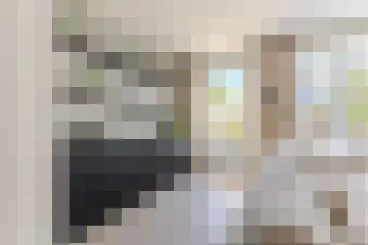 Lijsterbes 61 Heiloo thumbnail 5