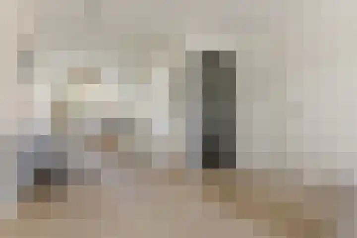 Lijsterbes 61 Heiloo thumbnail 6