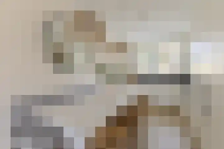Lijsterbes 61 Heiloo thumbnail 7