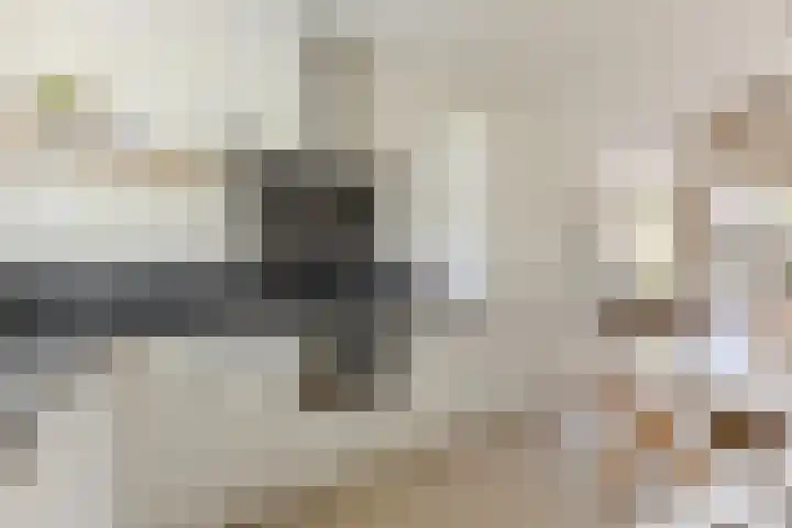 Lijsterbes 61 Heiloo thumbnail 8
