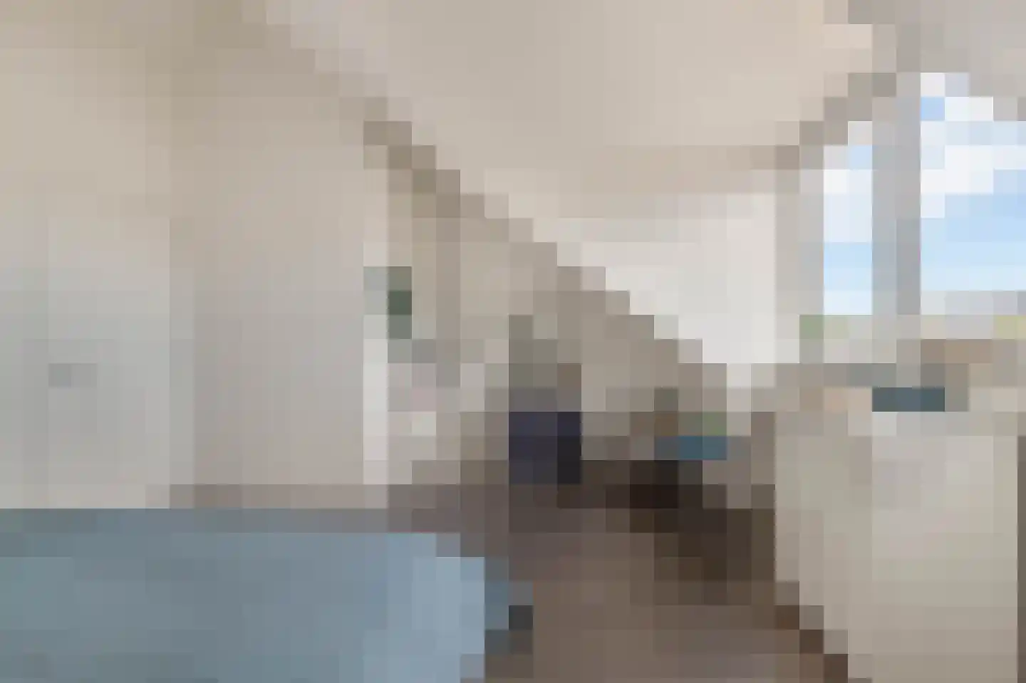 Lijsterbes 62 Heiloo thumbnail 42