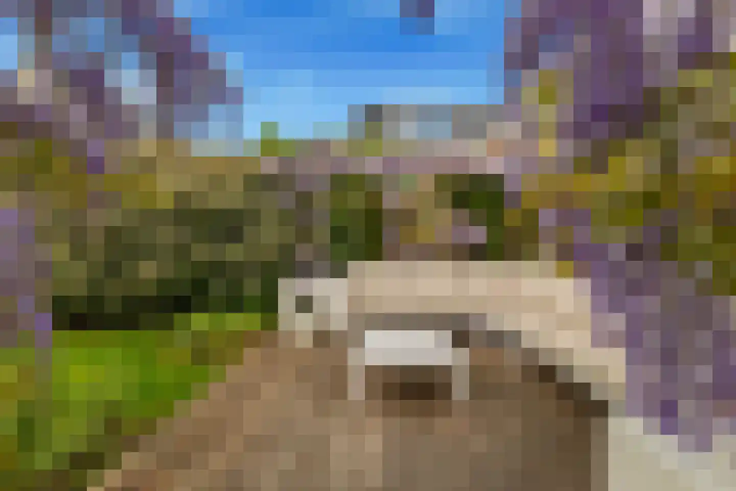 Lijsterbes 62 Heiloo thumbnail 53