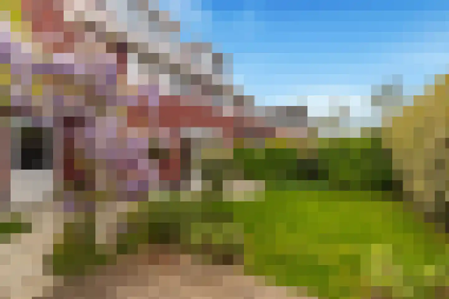 Lijsterbes 62 Heiloo thumbnail 54
