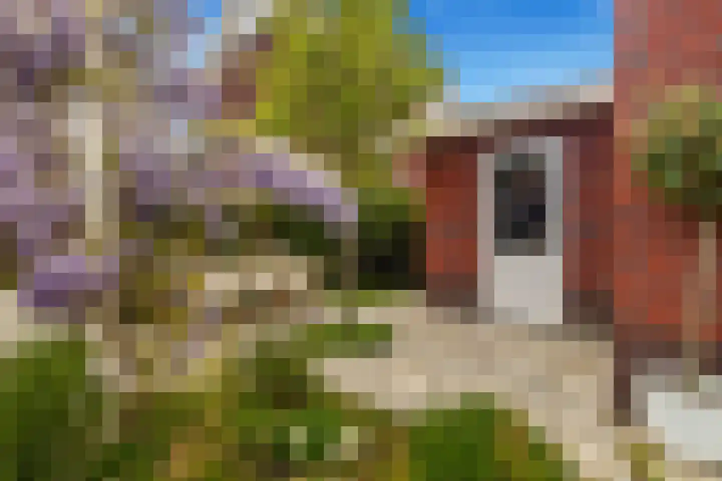 Lijsterbes 62 Heiloo thumbnail 57