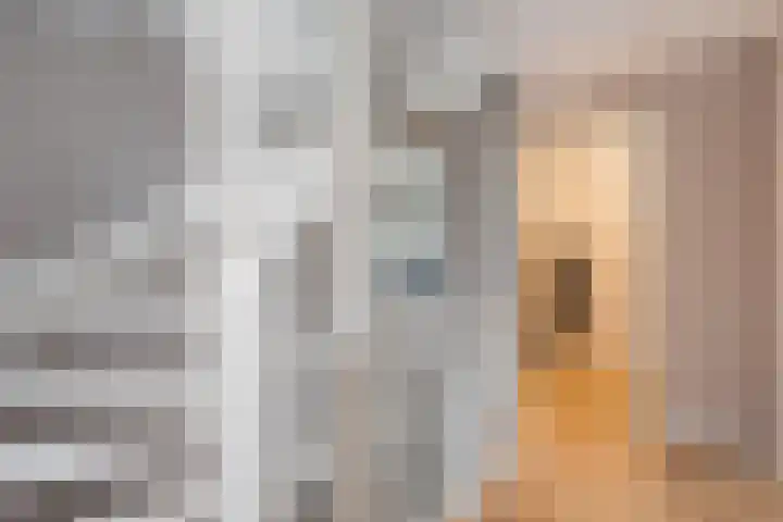 Lijsterbes 8 Borne thumbnail 11