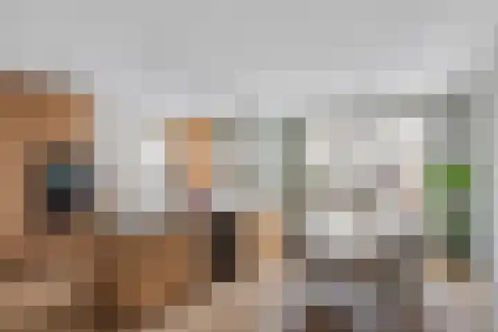 Lijsterbes 8 Borne thumbnail 5