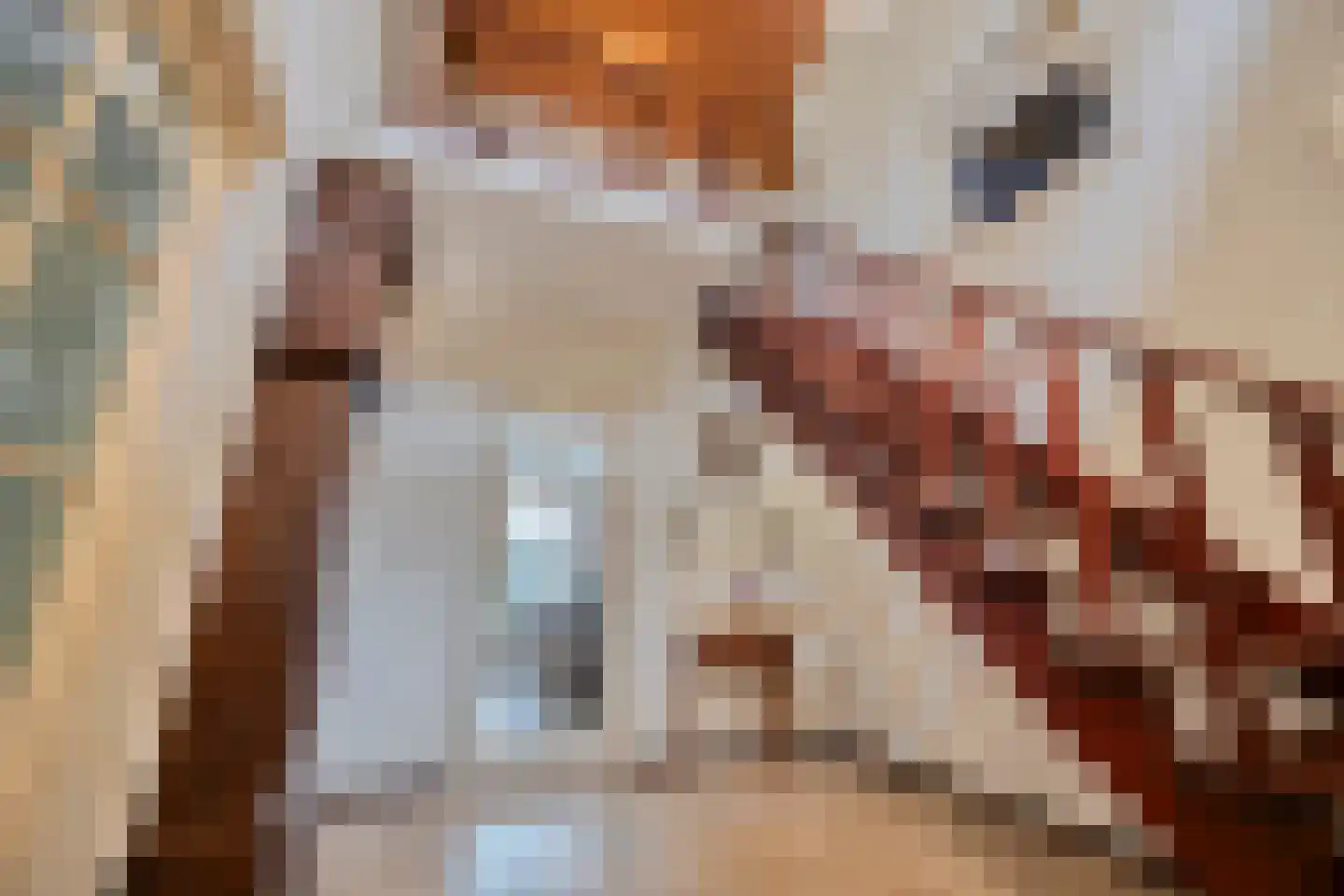 Lijsterbesdreef 11 Bergeijk thumbnail 11