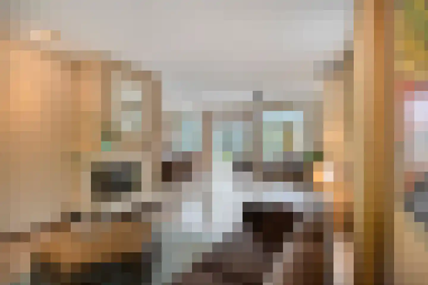 Lijsterbesdreef 11 Bergeijk thumbnail 14