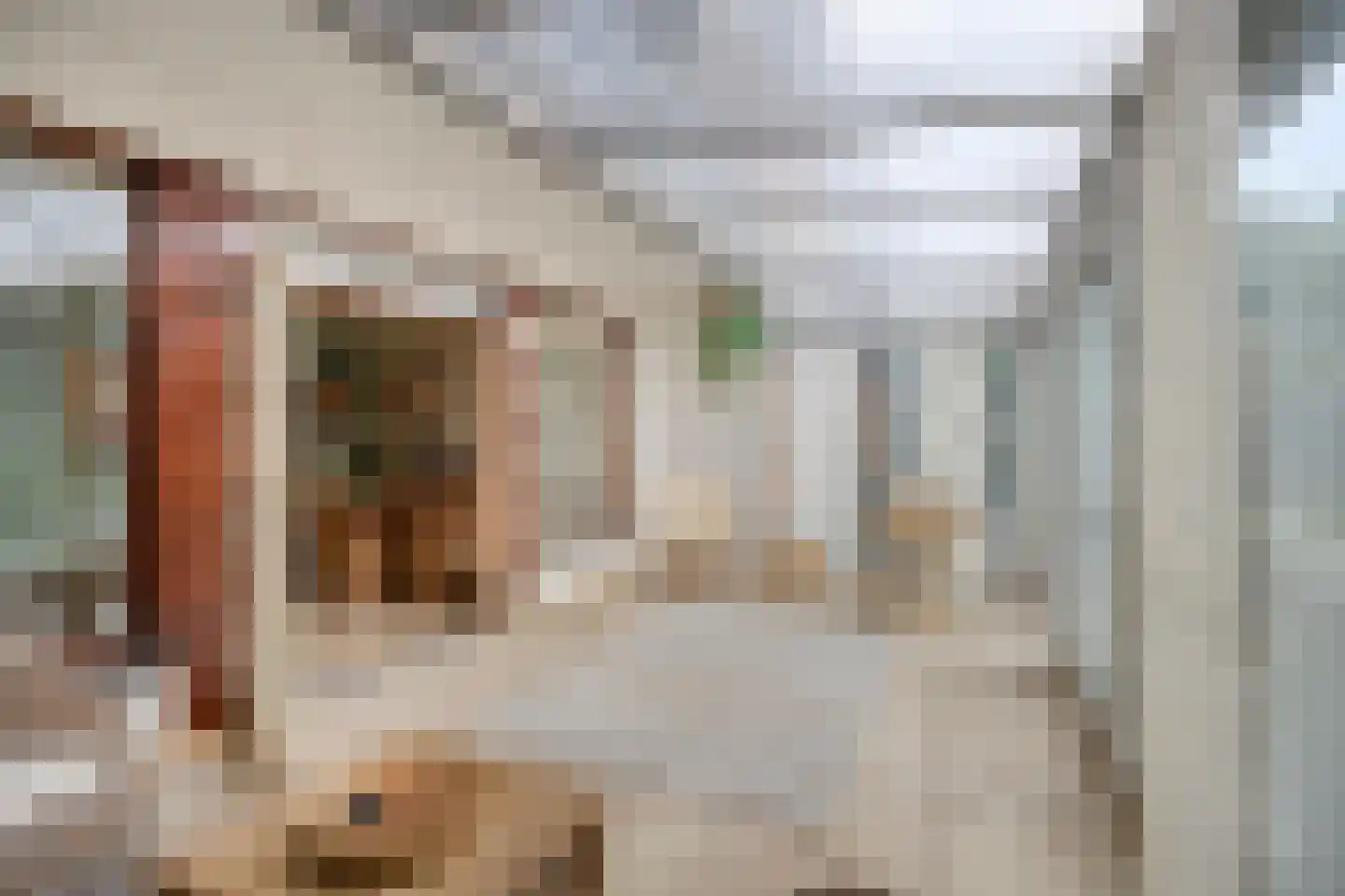 Lijsterbesdreef 11 Bergeijk thumbnail 17