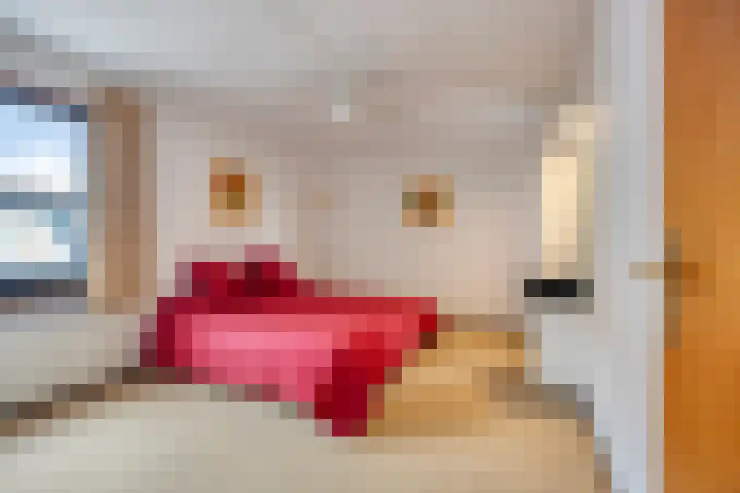 Lijsterbesdreef 11 Bergeijk thumbnail 26