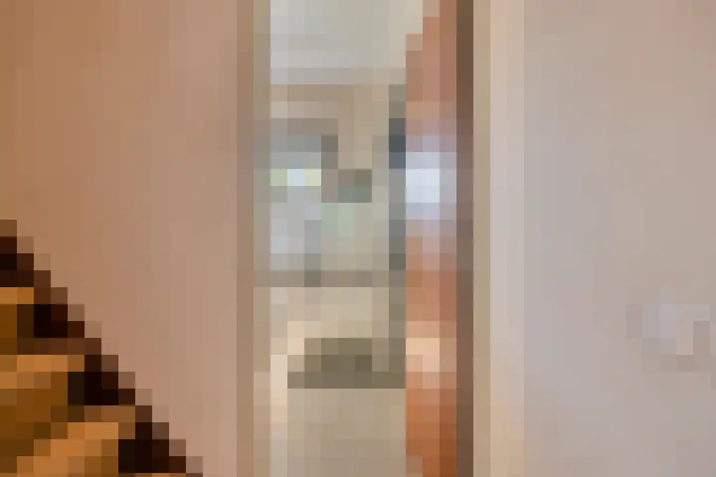 Lijsterbesdreef 11 Bergeijk thumbnail 30