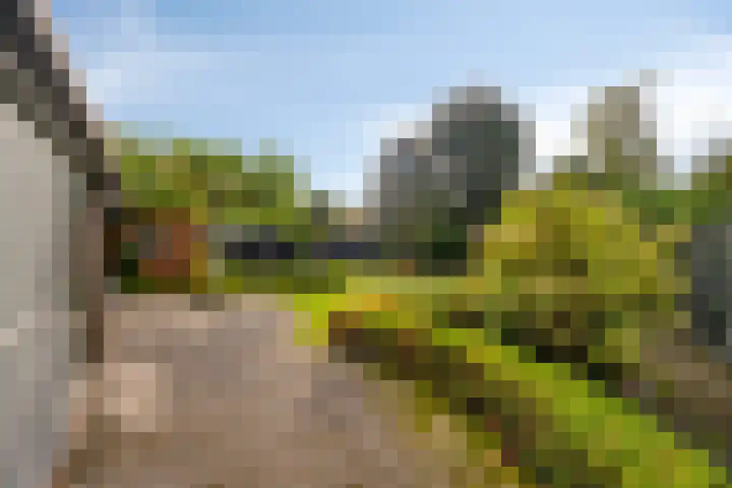 Lijsterbesdreef 11 Bergeijk thumbnail 36