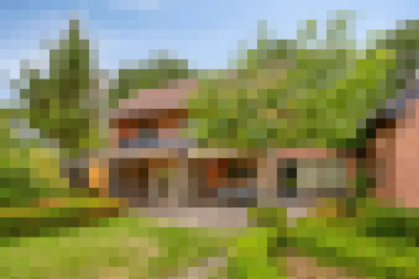 Lijsterbesdreef 11 Bergeijk thumbnail 38