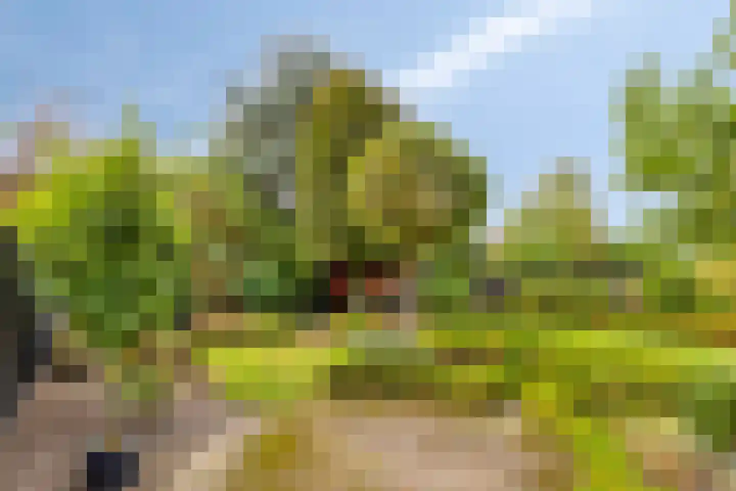 Lijsterbesdreef 11 Bergeijk thumbnail 4