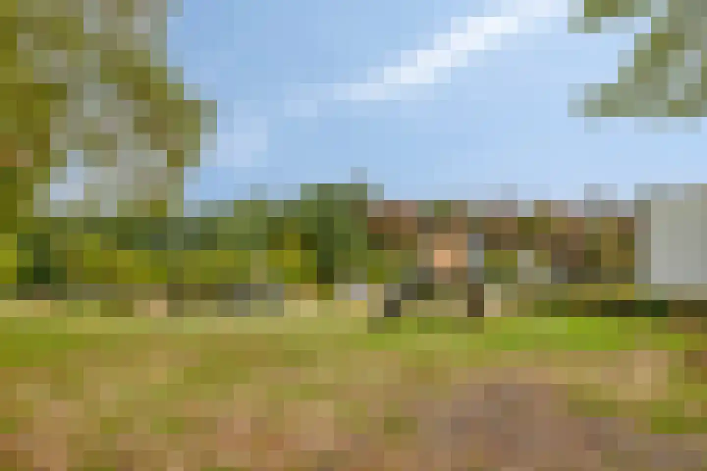 Lijsterbesdreef 11 Bergeijk thumbnail 41