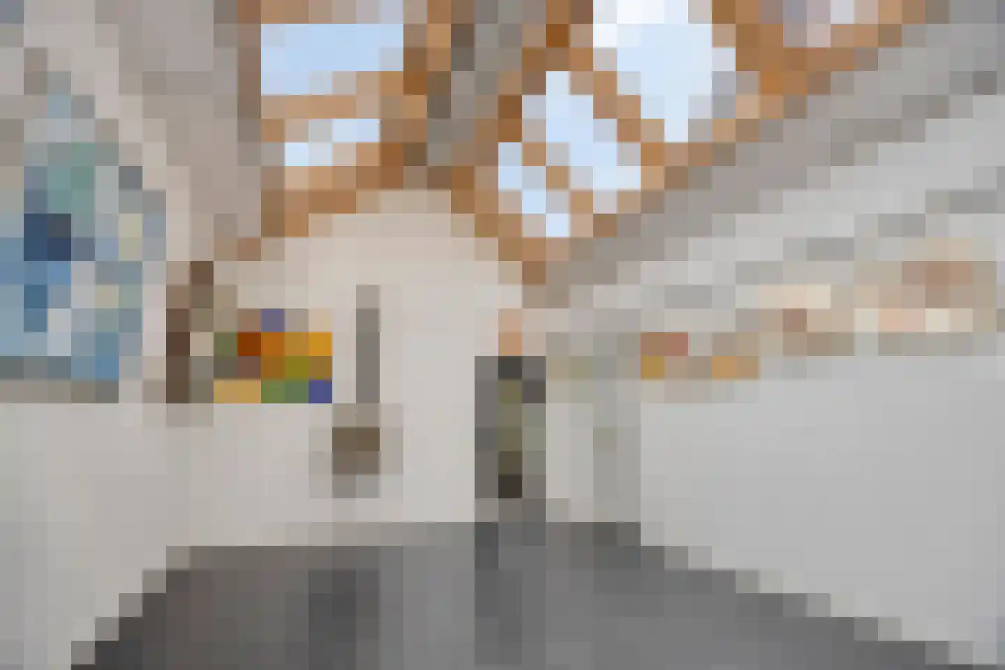 Lijsterbesdreef 11 Bergeijk thumbnail 7