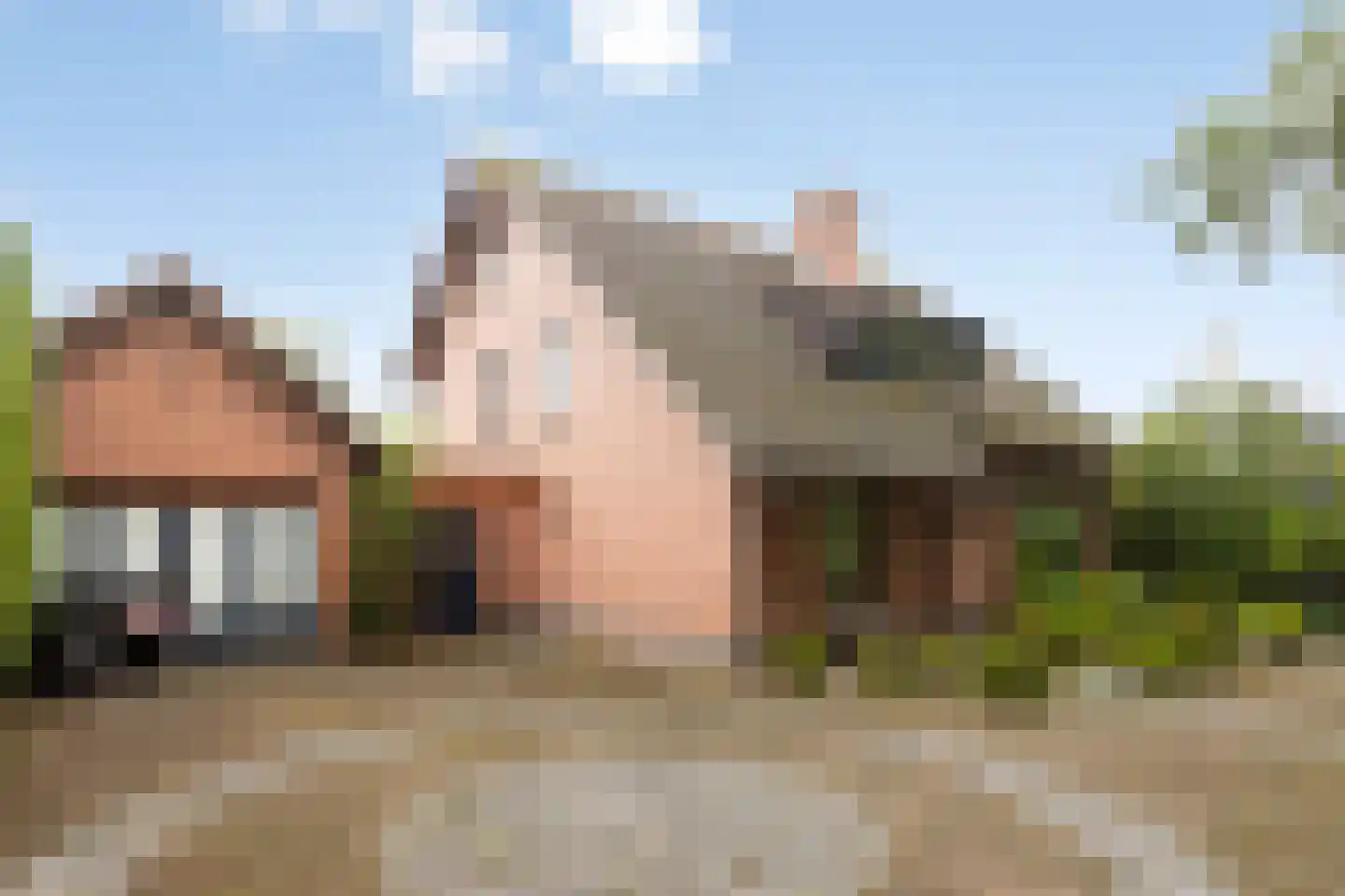 Lijsterbesdreef 11 Bergeijk thumbnail 9