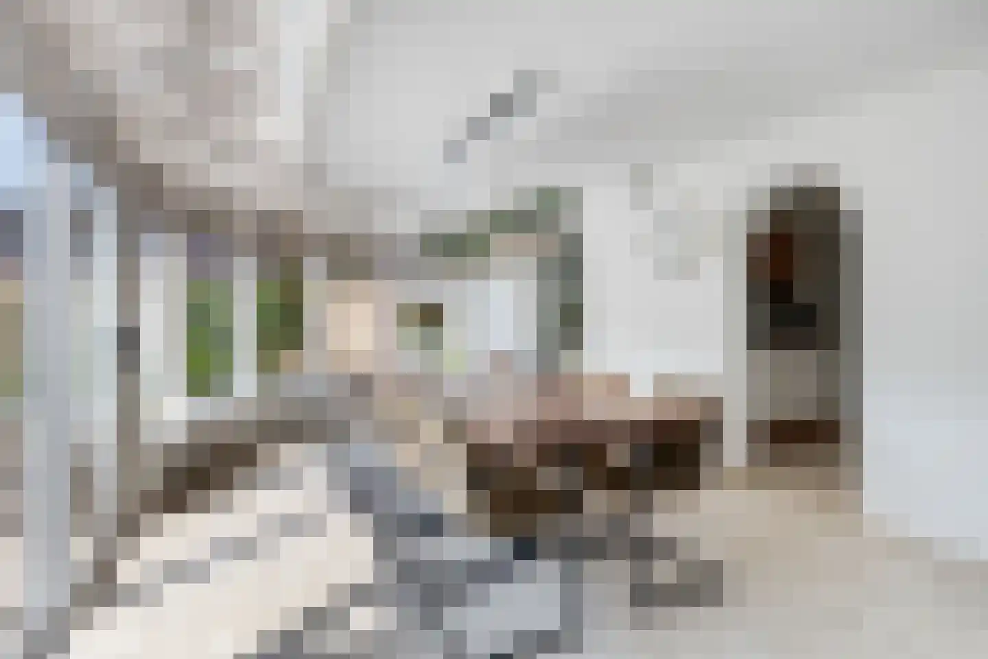 Lijsterbesdreef 15 Bergeijk thumbnail 10