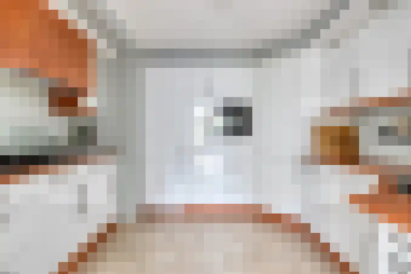 Lijsterbesdreef 15 Bergeijk thumbnail 11