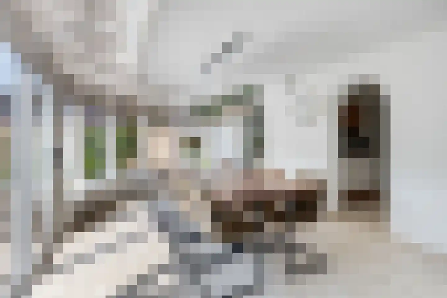 Lijsterbesdreef 15 Bergeijk thumbnail 11